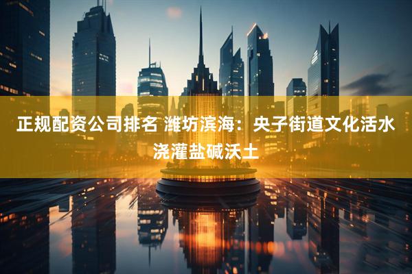 正规配资公司排名 潍坊滨海：央子街道文化活水浇灌盐碱沃土